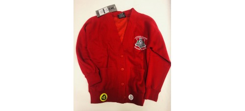 Cardigan - Mynydd Cynffig Primary
